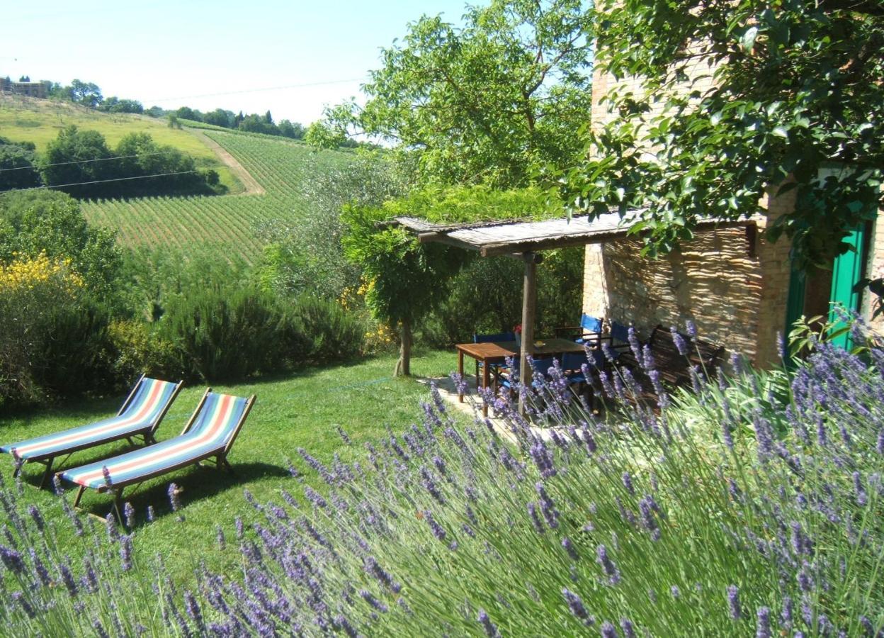 Agriturismo&Winery Il Bacio Tavarnelle Val di Pesa Esterno foto