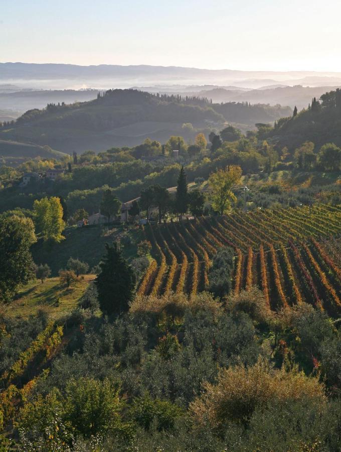 Agriturismo&Winery Il Bacio Tavarnelle Val di Pesa Esterno foto