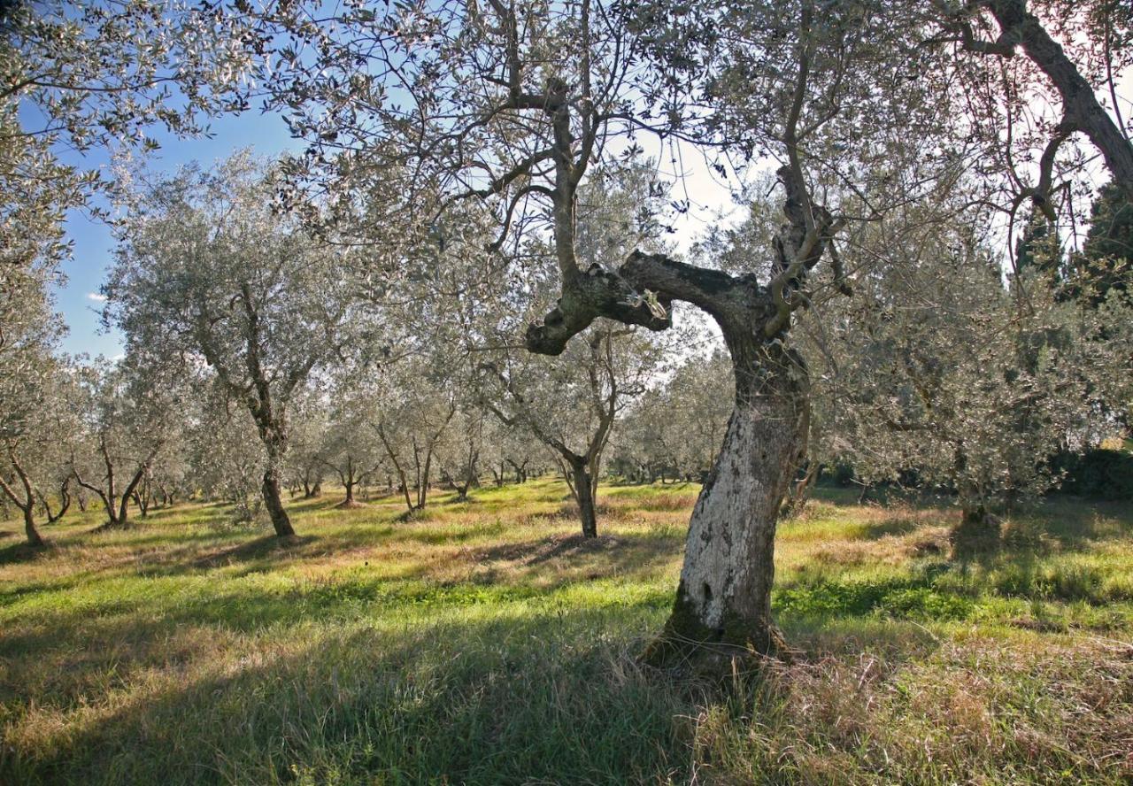 Agriturismo&Winery Il Bacio Tavarnelle Val di Pesa Esterno foto
