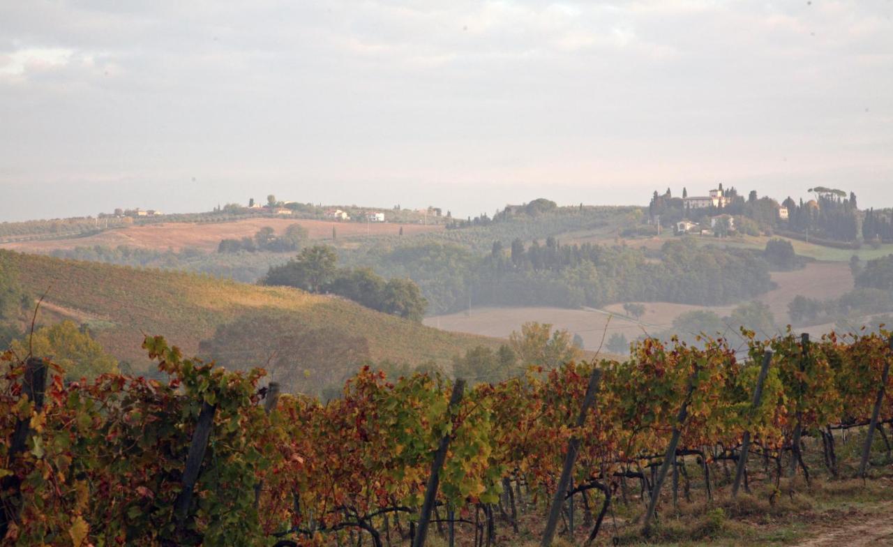 Agriturismo&Winery Il Bacio Tavarnelle Val di Pesa Esterno foto