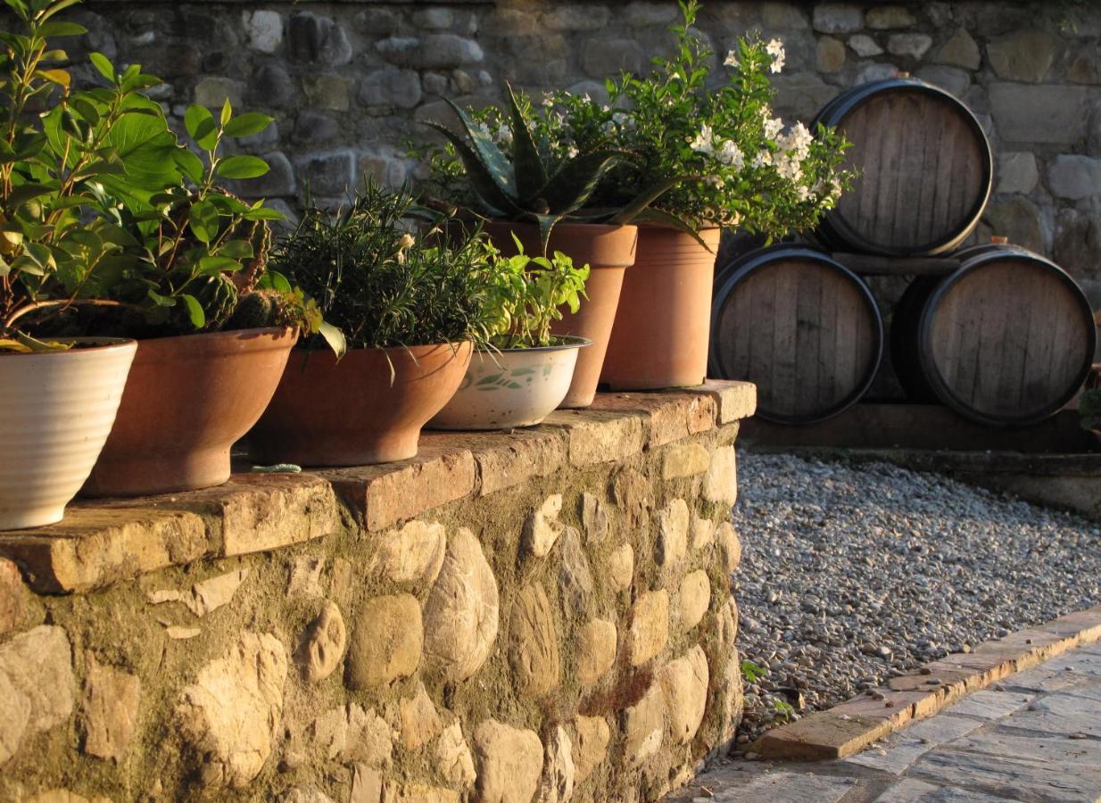 Agriturismo&Winery Il Bacio Tavarnelle Val di Pesa Esterno foto