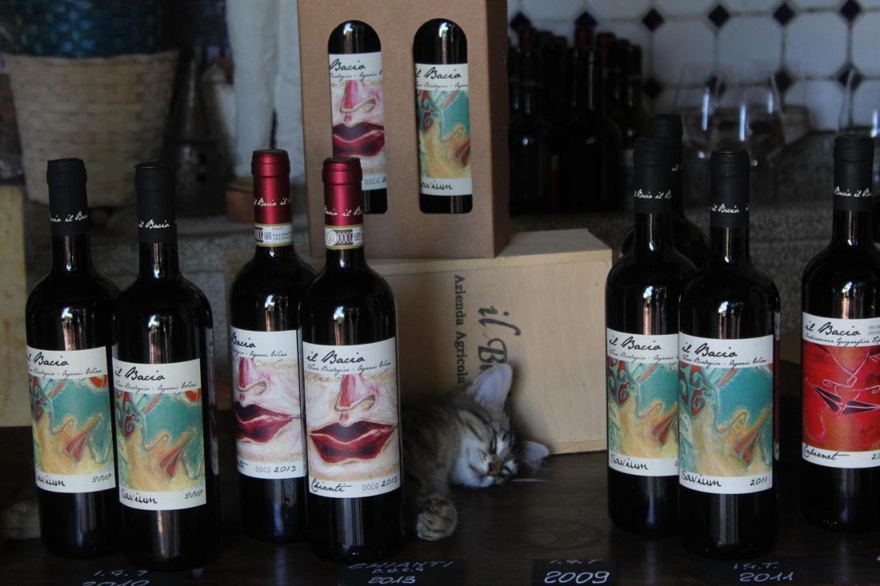 Agriturismo&Winery Il Bacio Tavarnelle Val di Pesa Esterno foto