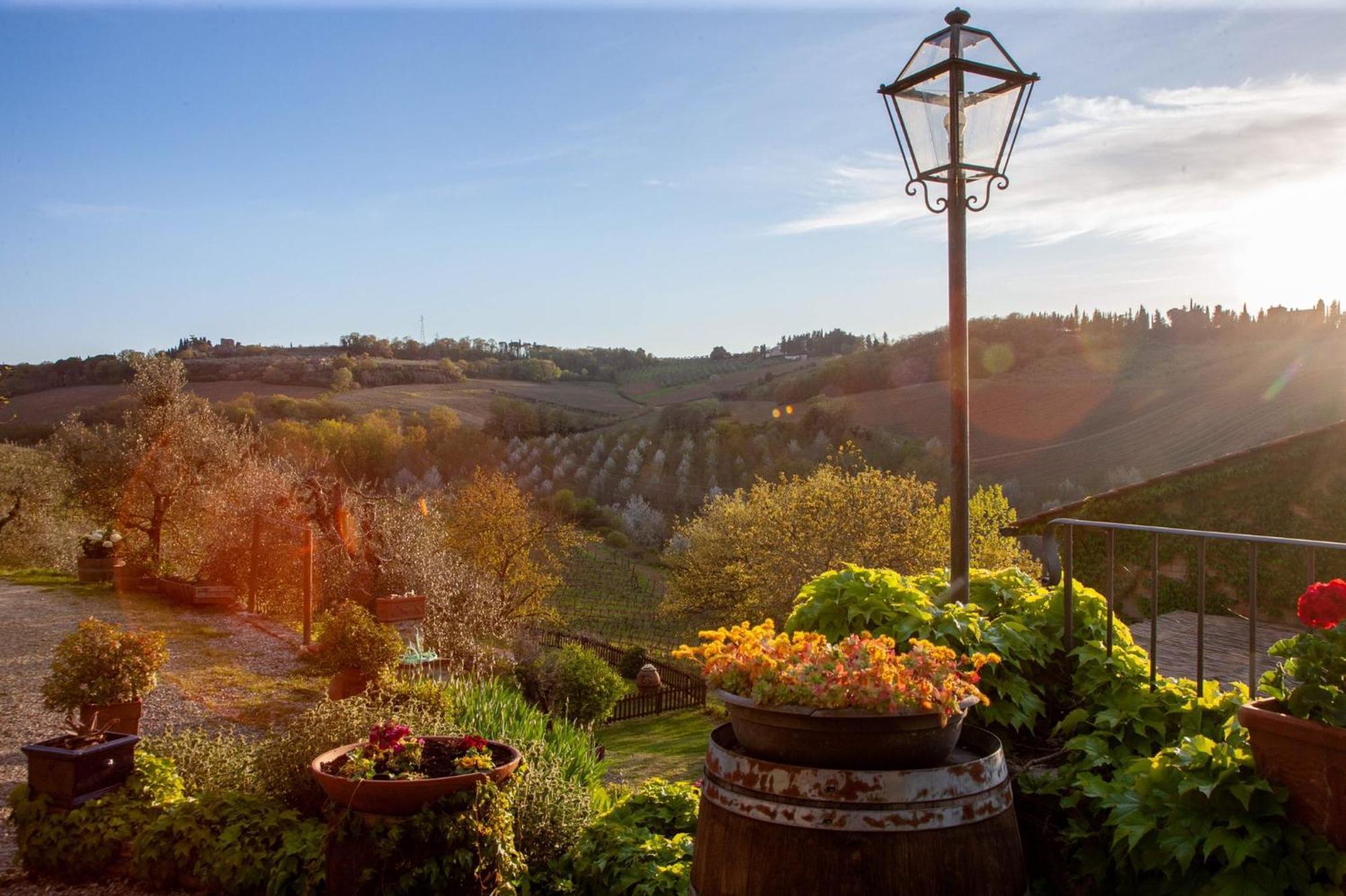 Agriturismo&Winery Il Bacio Tavarnelle Val di Pesa Esterno foto