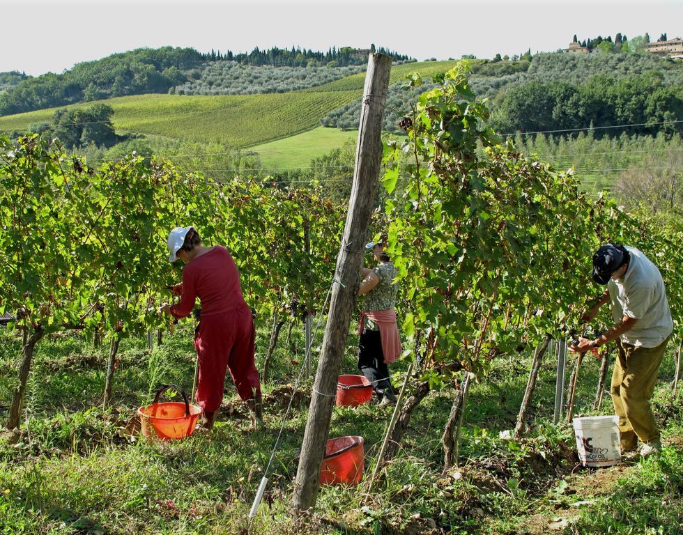 Agriturismo&Winery Il Bacio Tavarnelle Val di Pesa Esterno foto