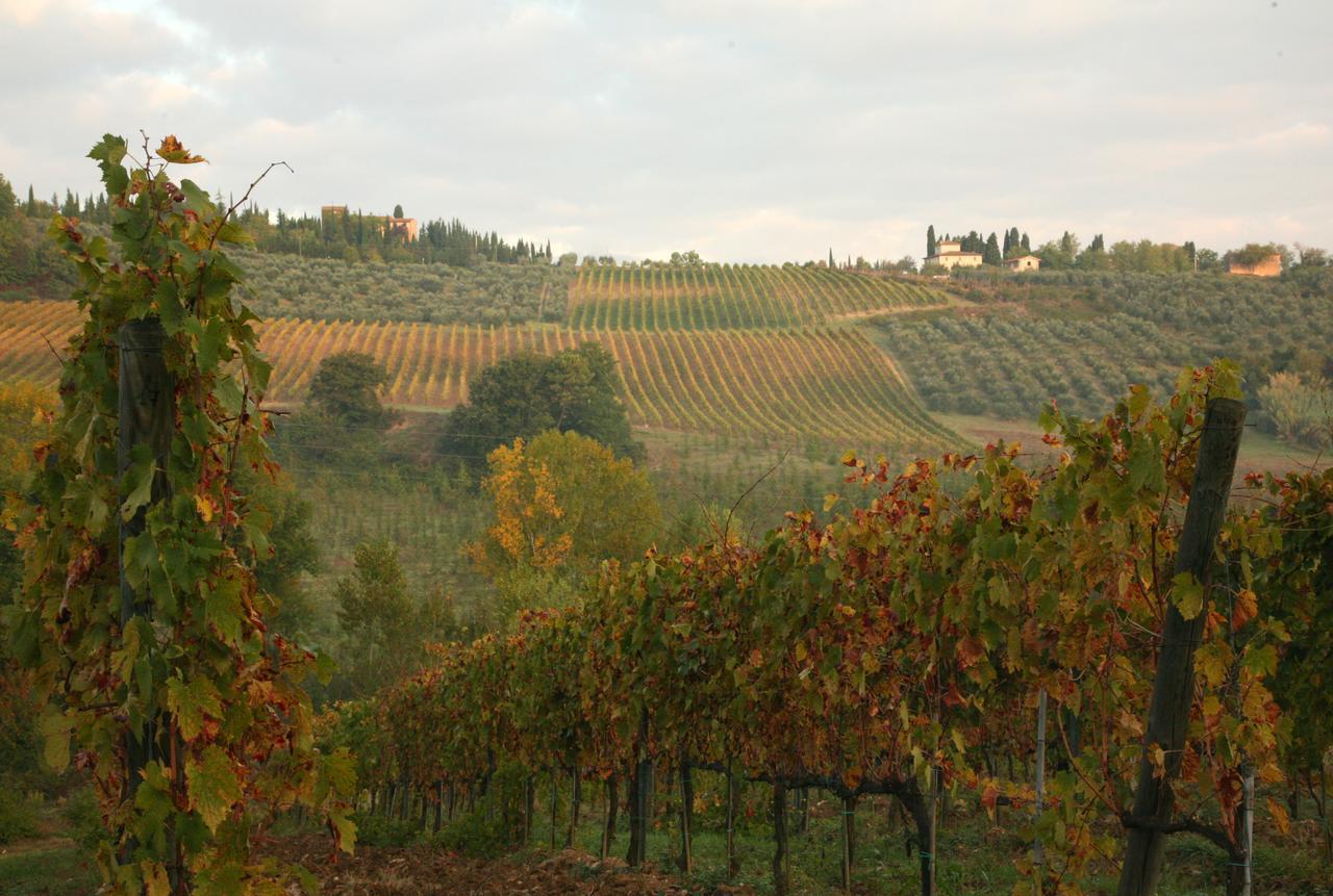 Agriturismo&Winery Il Bacio Tavarnelle Val di Pesa Esterno foto